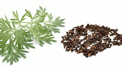 Cloves and worms wood to remove parasites from the body