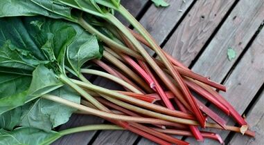 Sorrel to remove parasites from the body