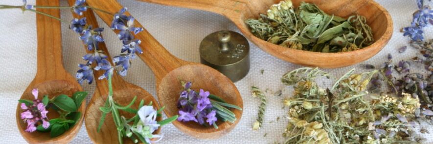 combination of herbal preparations against worms